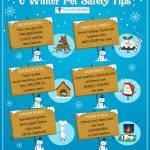 6 Winter Pet Safety Tips