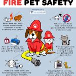 Fire Safety and Your Pets