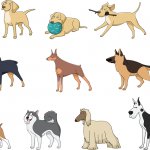 A Guide To Different Dog Breeds